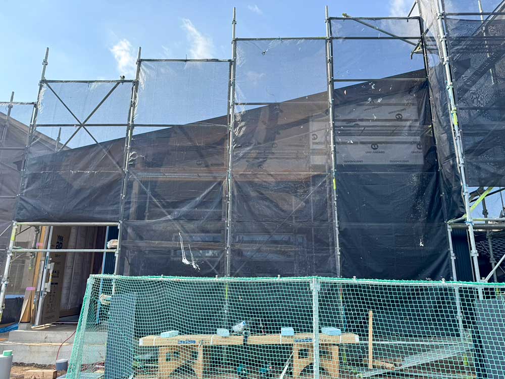 11月14日現地画像