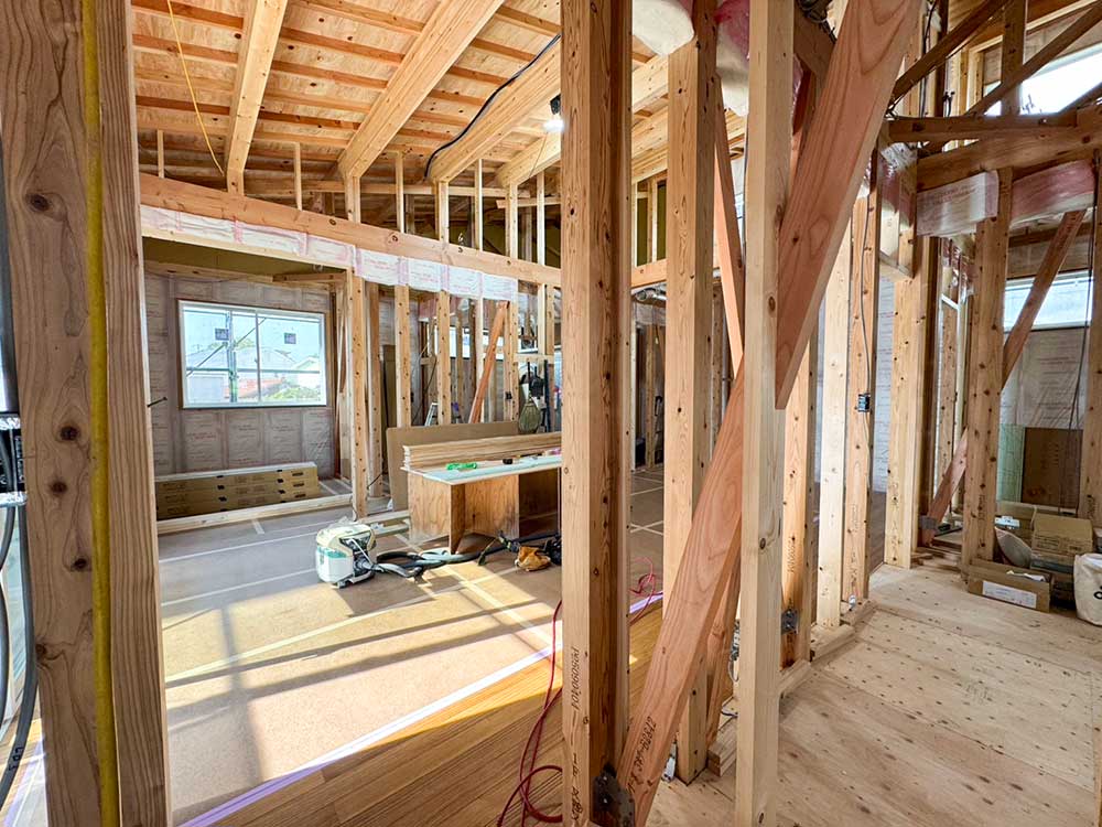 11月14日現地画像